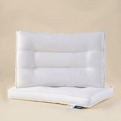 Snowfall Plush Goose Down Pillow